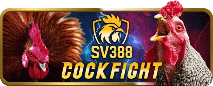 Hỗ trợ khách hàng 99win